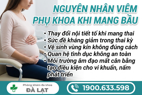 Hình ảnh minh họa